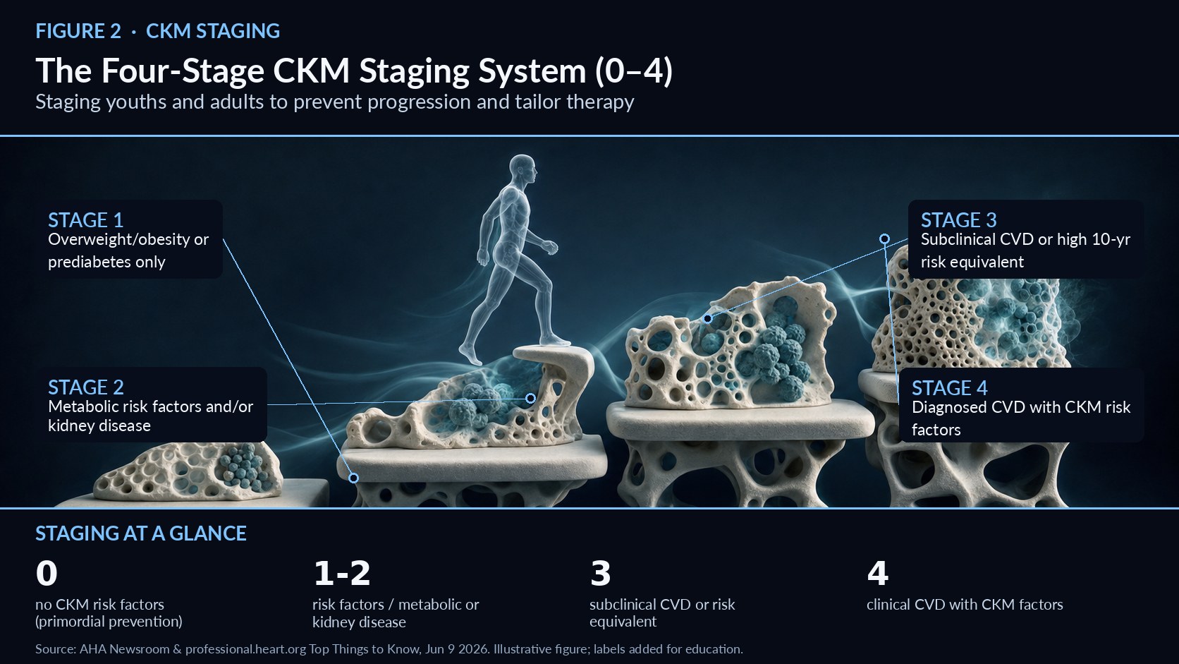 NEWSLETTER 3 Top 10 Take-Home Messages of the 2026 CKM Guideline From staging and PREVENT risk to guideline-directed therapy across the spectrum   Figure 3. Top 10 Take-Home Messages of the 2026 CKM Guideline — mechanism overview (illustrative; labels added for education). The guideline’s companion “Top Things to Know” distils the document into ten clinically actionable messages that map neatly onto a workflow of stage, predict, assess, coordinate, and treat.1 <b>Messages 1–2</b> establish the foundation: CKM staging is recommended for youths and adults, and in Stages 0–3 risk should be quantified using the PREVENT equations, which estimate 10- and 30-year risk for atherosclerotic cardiovascular disease, heart failure, and total cardiovascular disease.1 <b>Messages 3–5</b> address systematic evaluation: routinely assess metabolic risk factors and kidney function—with selected assessment for pre-heart-failure, MASLD, and obstructive sleep apnoea—screen and address social determinants of health, and deliver interdisciplinary care anchored by a CKM coordination point person.1 <b>Message 6</b> reframes adiposity: assess overweight/obesity and abdominal adiposity using both BMI and waist circumference, and support lifestyle modification with adjunctive obesity pharmacotherapy and metabolic/bariatric surgery when indicated.1 <b>Messages 7–8</b> define pharmacotherapy: in type 2 diabetes with or at risk for cardiovascular disease, use cardioprotective antihyperglycaemic therapy (SGLT2 inhibitors, GLP-1-based therapy, or both); use both eGFR and UACR to characterise CKD, with RAS inhibitors plus SGLT2 inhibitors first-line and a nonsteroidal MRA or GLP-1 therapy added if albuminuria persists.1 Taken together, the ten messages function as an implementation blueprint rather than a list of ideals. They move in a logical sequence—stage the patient, predict risk with PREVENT, assess metabolic and kidney parameters plus social needs, coordinate an interdisciplinary team, and then treat with organ-protective agents matched to comorbidities.1 Because each message maps to a concrete clinical action, a hospital can convert them almost directly into order sets, dashboards, and quality metrics—exactly the kind of structured workflow that closes the gap between guideline publication and bedside practice.2 <b>Messages 9–10</b> extend care into established disease: in ASCVD, emphasise CKM comorbidities including obesity treatment and kidney-protective agents; in HFrEF use RAS inhibitor/ARNI plus SGLT2 inhibitor within quadruple therapy, and in HFmrEF/HFpEF use SGLT2 inhibitors first-line, add GLP-1 therapy for obesity, and consider nonsteroidal MRAs in patients with type 2 diabetes and CKD.1 Together the messages give clinicians and administrators a concise checklist for auditing whether CKM patients are receiving the full spectrum of evidence-based, organ-protective care.2,3 References 1. 2026 CKM Guideline — Top Things to Know, professional.heart.org, June 9, 2026. https://professional.heart.org/en/science-news/2026-guideline-for-the-prevention-detection-evaluation-and-management-of-ckm-syndrome/top-things-to-know 2. First-Ever Guideline Addresses CKM Syndrome, ACC.org Journal Scan, June 9, 2026. https://www.acc.org/latest-in-cardiology/journal-scans/2026/06/08/17/44/first-ever-guideline-addresses-ckm-syndrome 3. First-ever guideline on CKM syndrome issued, AHA Newsroom, June 9, 2026. https://newsroom.heart.org/news/first-ever-guideline-on-cardiovascular-kidney-metabolic-syndrome-issued 4. New guideline reframes weight as health risk, AHA Newsroom, June 9, 2026. https://newsroom.heart.org/news/new-guideline-reframes-weight-as-health-risk-tied-to-diabetes-kidney-and-heart-conditions 5. A new guideline links care for heart, kidney and metabolic diseases, Science News, June 10, 2026. https://www.sciencenews.org/article/heart-diabetes-kidney-disease-treatment 6. The Role of GLP-1 Receptor Agonists in the Treatment of CKM Syndrome, JACC Adv, Jan 2026 (PMID 41609289). https://pubmed.ncbi.nlm.nih.gov/41609289/