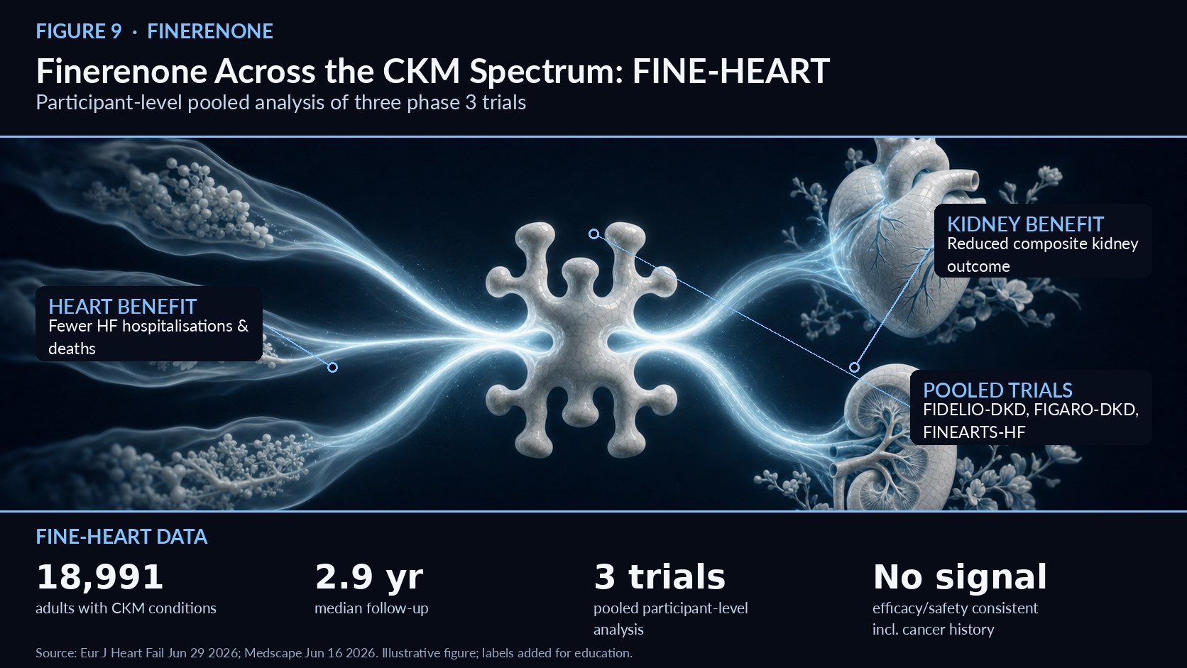 NEWSLETTER 9 Finerenone Across the CKM Spectrum: FINE-HEART A participant-level pooled analysis of 18,991 adults with CKM conditions   Figure 9. Finerenone Across the CKM Spectrum: FINE-HEART — mechanism overview (illustrative; labels added for education). FINE-HEART is a participant-level pooled analysis combining three phase 3 trials—FIDELIO-DKD, FIGARO-DKD, and FINEARTS-HF—totalling 18,991 adults with CKM conditions, and it has become a reference dataset for understanding finerenone across the syndrome.1 Over a median follow-up of 2.9 years, finerenone reduced the risk of all-cause mortality, all-cause hospitalisation, heart-failure hospitalisation, the composite kidney outcome, and new-onset atrial fibrillation.1 The breadth of those endpoints is important: a single nonsteroidal mineralocorticoid receptor antagonist shows benefit across all three CKM axes, supporting its guideline role as add-on therapy when albuminuria persists.6 A 2026 cancer-history subanalysis addressed a common real-world concern. Among the 18,991 participants, 1,389 (7.3%) had a baseline history of cancer, and finerenone’s efficacy and safety were consistent regardless of cancer history.1 Reassuringly, the treatment effect on cancer death (subdistribution HR 0.81, 95% CI 0.64–1.03) and on de novo cancer incidence (HR 0.92, 95% CI 0.79–1.06) showed no adverse cancer signal.1 For clinicians managing patients with prior malignancy—an increasingly common scenario—this removes a potential barrier to prescribing. The population is well characterised across the syndrome. FINE-HEART participants were classified into CKM Stages 2–4 using an adapted 2023 AHA framework, with mean age ranging 67.0–69.3 years and 34.2–35.1% women.2 This staging allows the benefits to be interpreted stage by stage rather than as a single averaged effect. The pooled design is itself a strength. By combining three large trials that spanned diabetic kidney disease and heart failure, FINE-HEART assembled enough events to examine outcomes—such as new-onset atrial fibrillation and the composite kidney endpoint—that individual trials were underpowered to resolve.1 Interpreting those results through CKM Stages 2–4 rather than as a single averaged effect lets clinicians see how benefit tracks with disease severity, and corroborating datasets like INFINITY and the Lancet CKD pooled analysis reinforce the consistency of finerenone’s effect.3,4 Finerenone is one of the nonsteroidal MRA therapies highlighted in the 2026 CKM guideline for combined kidney and cardiovascular protection, and FINE-HEART supplies the pooled, participant-level evidence underpinning that recommendation.6 For practitioners, the analysis reinforces finerenone as a versatile agent whose benefits—and reassuring safety—extend across the diverse patients who define CKM syndrome. References 1. Finerenone in CKM syndrome and history of cancer: FINE-HEART pooled analysis, Eur J Heart Fail, June 29, 2026. https://academic.oup.com/eurjhf/article/28/Supplement_2/xuag193.1363/8721035 2. Finerenone May Cut Sudden Death Risk Across the CKM Spectrum, Medscape, June 16, 2026. https://www.medscape.com/viewarticle/finerenone-may-cut-risk-sudden-death-across-ckm-spectrum-2026a1000kau 3. Bayer's INFINITY Analysis Shows Finerenone Delivers Long-Term Kidney and Heart Protection, Clival, June 9, 2026. https://clival.com/news/bayers-infinity-analysis-shows-finerenone-delivers-long-term-kidney-and-heart-protection-in-chronic-kidney-disease 4. Efficacy and safety of finerenone in CKD (pooled analysis), Lancet, June 13, 2026 (PMID 42248158). https://pubmed.ncbi.nlm.nih.gov/42248158/ 5. 2026 CKM Guideline — Top Things to Know, professional.heart.org, June 9, 2026. https://professional.heart.org/en/science-news/2026-guideline-for-the-prevention-detection-evaluation-and-management-of-ckm-syndrome/top-things-to-know 6. New guideline reframes weight as health risk, AHA Newsroom, June 9, 2026. https://newsroom.heart.org/news/new-guideline-reframes-weight-as-health-risk-tied-to-diabetes-kidney-and-heart-conditions