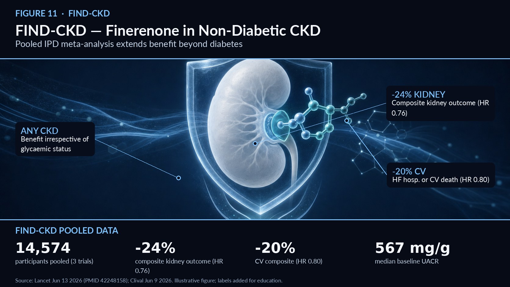 NEWSLETTER 11 FIND-CKD: Finerenone in Non-Diabetic CKD Extending kidney and cardiovascular protection beyond diabetic kidney disease   Figure 11. FIND-CKD: Finerenone in Non-Diabetic CKD — mechanism overview (illustrative; labels added for education). FIND-CKD (NCT05047263) was a randomised, double-blind, placebo-controlled trial of finerenone in chronic kidney disease conducted from September 21, 2021 to February 2, 2026, and it was included in an individual participant-data meta-analysis published in The Lancet on June 13, 2026 by Neuen and colleagues.1 Its central contribution is evidence for finerenone in non-diabetic CKD—a population historically underserved by cardiorenal trials. The pooled analysis combined FIND-CKD with FIDELIO-DKD and FIGARO-DKD, enrolling 14,574 participants with a mean age of 63.7 years, 30.7% female, a mean eGFR of 56.4 mL/min/1.73 m², and a median UACR of 567.4 mg/g—reflecting a substantially albuminuric, at-risk cohort.1 Efficacy was robust. Finerenone reduced the composite kidney outcome—kidney failure or a sustained ≥57% decline in eGFR—by 24% (HR 0.76, 95% CI 0.68–0.86).1 The composite cardiovascular outcome of heart-failure hospitalisation or cardiovascular death was reduced by 20% (HR 0.80, 95% CI 0.70–0.91), with heart-failure hospitalisation at HR 0.78 and all-cause death at HR 0.88.1 Crucially, the kidney benefit was consistent irrespective of glycaemic status, CKD aetiology, baseline eGFR, albuminuria, and SGLT2-inhibitor use—the key finding supporting use in non-diabetic CKD.1 This consistency means clinicians need not withhold finerenone simply because a patient does not have diabetes, provided albuminuria and appropriate potassium monitoring are in place. The trial’s recruitment window is worth noting: FIND-CKD ran from September 2021 to February 2026, making it one of the most contemporary datasets informing the 2026 guidelines.1 Its cohort was substantially albuminuric, with a median UACR of 567.4 mg/g and mean eGFR of 56.4 mL/min/1.73 m²—precisely the high-risk phenotype in which residual albuminuria persists despite RAS and SGLT2 blockade, and in which the guideline positions a nonsteroidal MRA as the logical next step.1,5 These results align with the broader INFINITY pooled analysis, which likewise found finerenone’s benefits held regardless of diabetic versus non-diabetic CKD.2 Together, FIND-CKD and INFINITY broaden the evidence-based indication for finerenone and reinforce the 2026 guideline’s positioning of nonsteroidal MRAs as add-on kidney- and heart-protective therapy when albuminuria persists on RAS inhibitors plus SGLT2 inhibitors.5 For nephrology and endocrinology practice, this expands the toolkit for a large and previously under-treated CKD population. References 1. Efficacy and safety of finerenone in CKD (FIND-CKD/FIDELIO/FIGARO pooled), Lancet, June 13, 2026 (PMID 42248158). https://pubmed.ncbi.nlm.nih.gov/42248158/ 2. Bayer's INFINITY Analysis Shows Finerenone Delivers Long-Term Kidney and Heart Protection, Clival, June 9, 2026. https://clival.com/news/bayers-infinity-analysis-shows-finerenone-delivers-long-term-kidney-and-heart-protection-in-chronic-kidney-disease 3. FINE-HEART pooled analysis (cancer subanalysis), Eur J Heart Fail, June 29, 2026. https://academic.oup.com/eurjhf/article/28/Supplement_2/xuag193.1363/8721035 4. Finerenone May Cut Sudden Death Risk Across the CKM Spectrum, Medscape, June 16, 2026. https://www.medscape.com/viewarticle/finerenone-may-cut-risk-sudden-death-across-ckm-spectrum-2026a1000kau 5. 2026 CKM Guideline — Top Things to Know, professional.heart.org, June 9, 2026. https://professional.heart.org/en/science-news/2026-guideline-for-the-prevention-detection-evaluation-and-management-of-ckm-syndrome/top-things-to-know 6. KDIGO 2026 Diabetes and CKD Guideline Update Public Review Draft, March 2026. https://kdigo.org/wp-content/uploads/2026/03/KDIGO-2026-Diabetes-and-CKD-Guideline-Update-Public-Review-Draft-March-2026.pdf