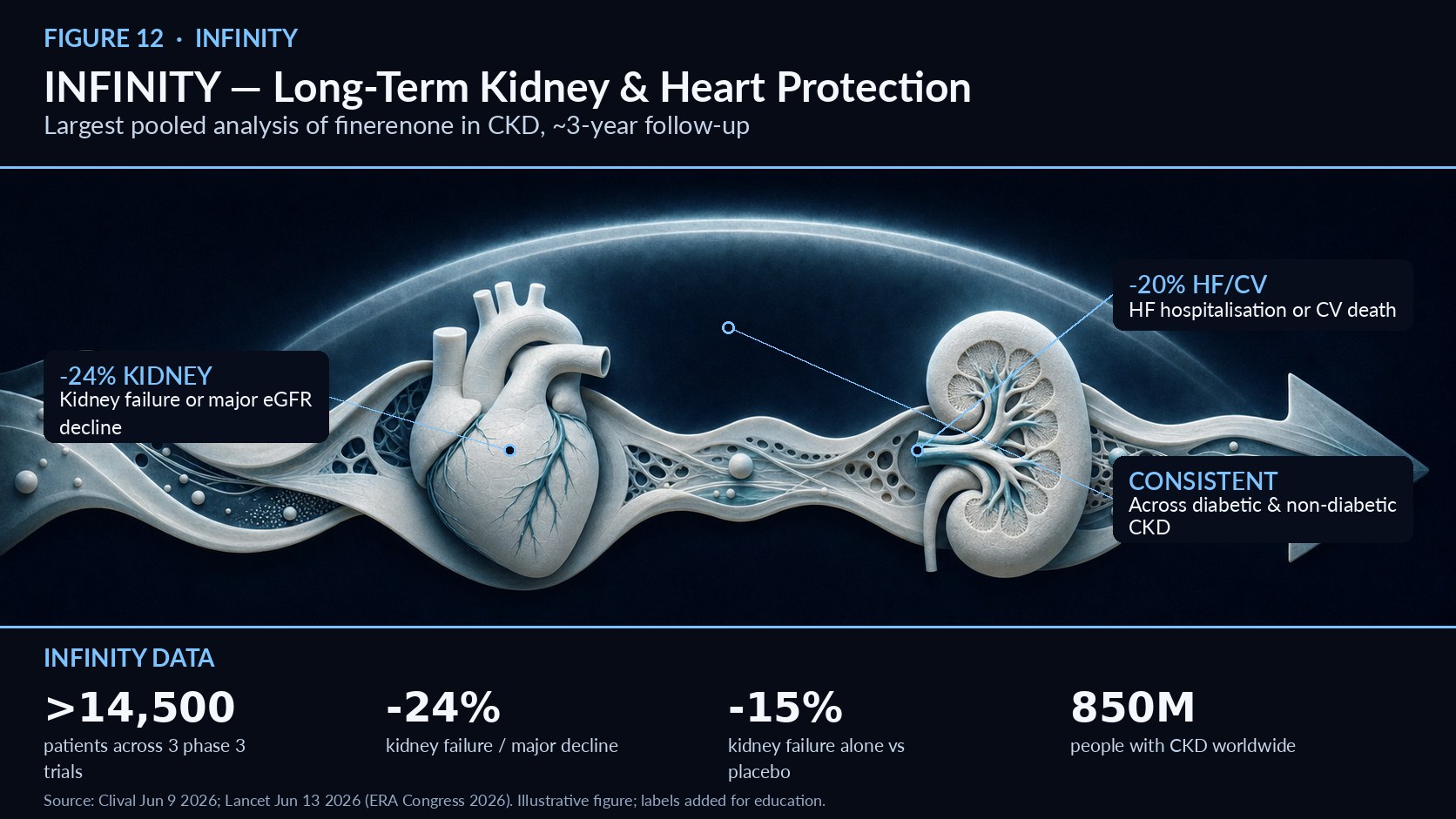 INFINITY: Long-Term Kidney and Heart Protection The largest pooled analysis of finerenone in chronic kidney disease   Figure 12. INFINITY: Long-Term Kidney and Heart Protection — mechanism overview (illustrative; labels added for education). The INFINITY analysis pooled three completed phase 3 finerenone trials—FIDELIO-DKD, FIGARO-DKD, and FIND-CKD—encompassing more than 14,500 patients with a median follow-up of about three years.1 Described as the largest pooled analysis of finerenone in CKD, it was presented at the ERA Congress 2026 and simultaneously published in The Lancet.1 The kidney findings were clinically meaningful. Finerenone produced a 24% lower risk of kidney failure or a major decline in kidney function, and a 15% lower risk of kidney failure alone, versus placebo.1 These reductions matter in a disease where progression to dialysis carries enormous human and economic cost. Cardiovascular protection paralleled the renal benefit: a 20% lower risk of heart-failure hospitalisation or cardiovascular death, together with reductions in all-cause mortality and in the need for dialysis or transplantation.1 The simultaneous kidney and heart benefit is precisely the dual protection the CKM framework seeks. Consistency across subgroups strengthens the case for broad applicability. Benefits were maintained across diabetic and non-diabetic CKD, underlying cause, baseline kidney function, albuminuria level, and SGLT2-inhibitor use.2 This means finerenone can be considered as add-on therapy in a wide range of CKD phenotypes rather than a narrow subset. The dual endpoint pattern is the analysis’s central message: finerenone slowed kidney-function decline and reduced heart-failure hospitalisation or cardiovascular death in the same population, alongside reductions in all-cause mortality and the need for dialysis or transplantation.1 Presenting the results at the ERA Congress with simultaneous Lancet publication signalled their weight to the nephrology community, and the consistency of benefit across diabetic and non-diabetic CKD makes the findings broadly generalisable rather than confined to a narrow trial subset.2 The population that stands to benefit is vast. CKD affects an estimated 850 million people worldwide and causes roughly 1.5 million deaths annually, a burden that is growing fastest in low- and middle-income countries.1 For clinicians in high-prevalence regions such as India, INFINITY supplies durable, long-term evidence that finerenone—layered onto RAS inhibitors and SGLT2 inhibitors—can slow the twin trajectories of kidney failure and cardiovascular death. It thereby anchors the 2026 guideline’s recommendation for nonsteroidal MRAs when residual albuminuria persists.5 References 1. Bayer's INFINITY Analysis Shows Finerenone Delivers Long-Term Kidney and Heart Protection, Clival, June 9, 2026. https://clival.com/news/bayers-infinity-analysis-shows-finerenone-delivers-long-term-kidney-and-heart-protection-in-chronic-kidney-disease 2. Efficacy and safety of finerenone in CKD (pooled analysis, Lancet), June 13, 2026 (PMID 42248158). https://pubmed.ncbi.nlm.nih.gov/42248158/ 3. FINE-HEART pooled analysis (cancer subanalysis), Eur J Heart Fail, June 29, 2026. https://academic.oup.com/eurjhf/article/28/Supplement_2/xuag193.1363/8721035 4. Finerenone May Cut Sudden Death Risk Across the CKM Spectrum, Medscape, June 16, 2026. https://www.medscape.com/viewarticle/finerenone-may-cut-risk-sudden-death-across-ckm-spectrum-2026a1000kau 5. 2026 CKM Guideline — Top Things to Know, professional.heart.org, June 9, 2026. https://professional.heart.org/en/science-news/2026-guideline-for-the-prevention-detection-evaluation-and-management-of-ckm-syndrome/top-things-to-know 6. KDIGO 2026 Diabetes and CKD Guideline Update Public Review Draft, March 2026. https://kdigo.org/wp-content/uploads/2026/03/KDIGO-2026-Diabetes-and-CKD-Guideline-Update-Public-Review-Draft-March-2026.pdf