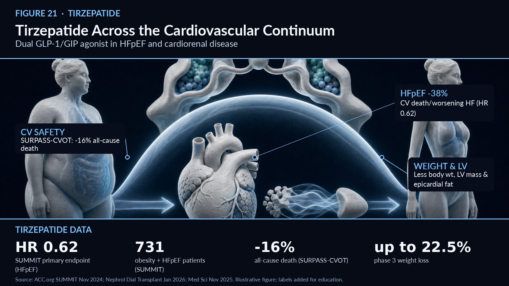 description  Tirzepatide, a dual GLP‑1/GIP receptor agonist, is emerging as a disease-modifying therapy across the cardiovascular continuum, especially in obesity-related HFpEF and broader CKM disease. In the SUMMIT trial, 731 patients with obesity and HFpEF were randomized to tirzepatide or placebo; the drug reduced cardiovascular death or worsening heart-failure events by 38% and improved symptoms, exercise capacity, and health status over about two years. It also produced substantial weight loss, reduced inflammation, and was associated with favorable cardiac reverse-remodelling signals, including lower left-ventricular mass and paracardiac adipose tissue. SURPASS-CVOT further confirmed cardiovascular safety versus dulaglutide and showed a reduction in all-cause mortality. These findings support tirzepatide as more than a metabolic agent: it addresses weight, HFpEF symptoms, and hard cardiovascular outcomes. The 2026 CKM guideline reflects this shift by incorporating GLP‑1-based therapies, including dual agonists, for patients with obesity or other CKM risk factors, particularly when HFpEF is part of the clinical picture.