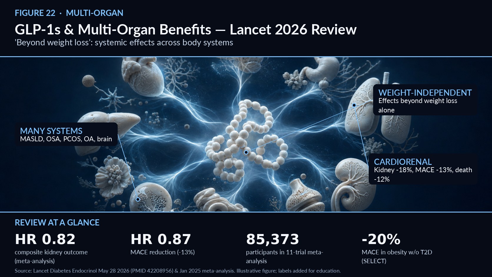 description  The May 2026 Lancet Diabetes & Endocrinology review by Savas et al. synthesises evidence that obesity medications—particularly GLP‑1 receptor agonists and novel multiagonists—provide broad, clinically meaningful benefits beyond weight loss. Drawing on randomised trials and meta-analyses, the review examines effects across ten organ systems including type 2 diabetes, MASLD, chronic kidney disease, heart failure, cardiovascular disease, obstructive sleep apnoea, PCOS, osteoarthritis, muscle mass, depression, and neurodegeneration. Complementary pooled analyses show GLP‑1 RAs reduce composite kidney outcomes (HR 0.82), major adverse cardiovascular events (HR 0.87), and all‑cause mortality (HR 0.88). Crucially, the authors emphasise accumulating evidence for weight‑loss‑independent mechanisms—direct anti‑inflammatory, renal, and myocardial actions—that explain benefits observed even in non‑diabetic populations (eg, SELECT). The review provides mechanistic and trial-based support for reframing GLP‑1 and multiagonist therapies as systemic disease‑modifying agents, aligning with recent CKM guideline endorsements that integrate metabolic, cardiac, and renal care.