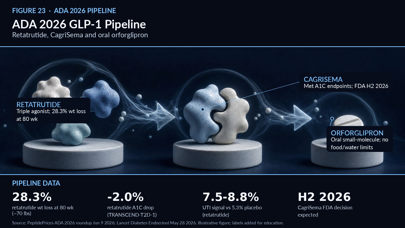 description  At ADA 2026 the GLP‑1 pipeline took center stage, showcasing next‑generation incretin therapies with transformative efficacy and new formulations. Retatrutide, a once‑weekly GLP‑1/GIP/glucagon triple agonist, achieved headline TRIUMPH‑1 results: mean weight loss of 28.3% at 80 weeks and 45.3% of top‑dose participants losing ≥30%, approaching bariatric ranges; glycaemic reductions in TRANSCEND‑T2D‑1 reached A1C falls of up to 2.0%. A new safety signal—higher urinary tract infection rates—was noted. CagriSema (cagrilintide+semaglutide) met A1C and weight endpoints across REIMAGINE trials and is under regulatory review. Orforglipron, an oral small‑molecule GLP‑1, promises easier administration and improved access. Collectively, these agents raise the efficacy ceiling for pharmacologic obesity treatment and signal broader therapeutic options for CKM practice. However, emerging safety signals with potent multiagonists underscore the need for vigilant post‑marketing surveillance as approvals expand real‑world use.