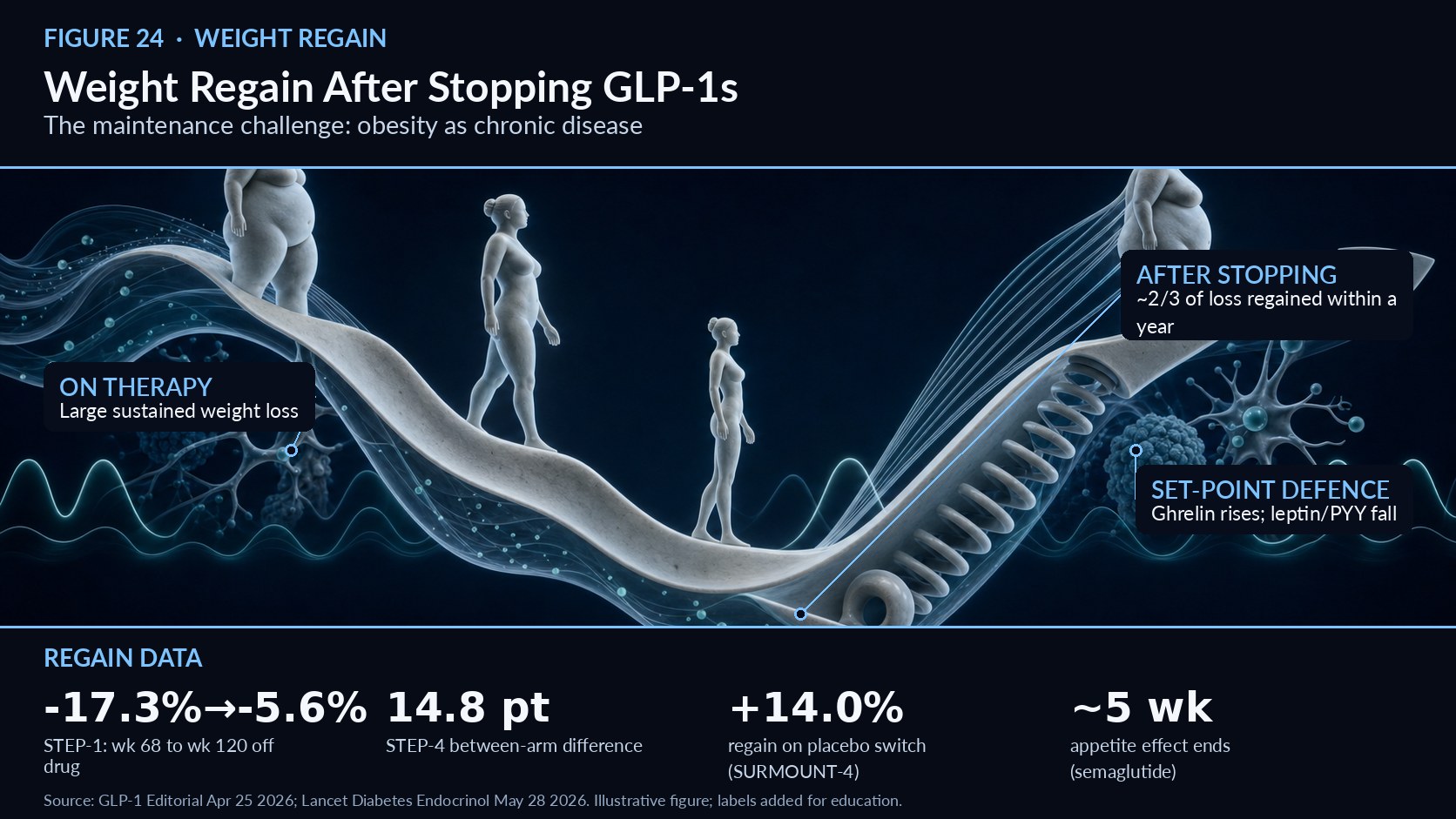 					View Vol. 4 No. 24 (2026): Weight Regain After Stopping GLP-1s Why obesity pharmacotherapy is long-term, disease-modifying treatment
				